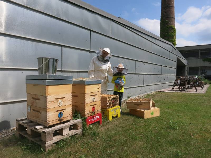 Včely na střeše divadla La Fabrika