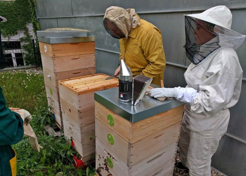 Vytáčení medu jako komunitní záležitost a vrchol včelařské sezóny