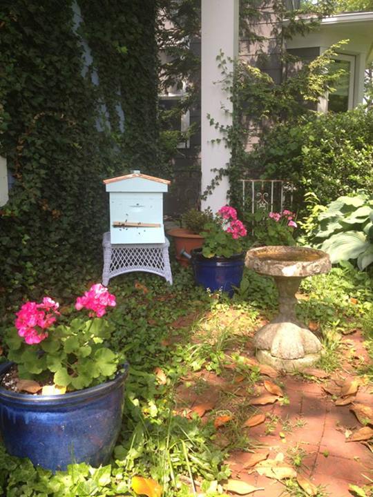 Backyard Beekeeping