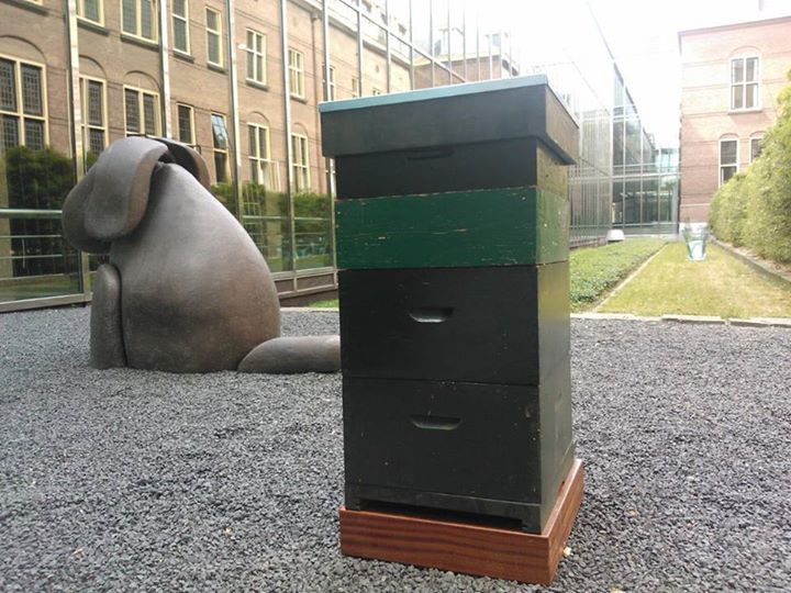 Backyard Beekeeping