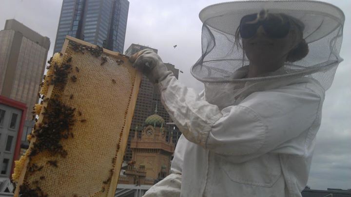 Rooftop Beekeeping