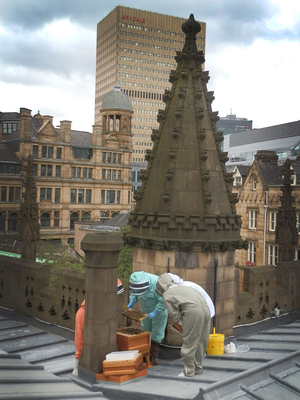 Roof top Beekeeping