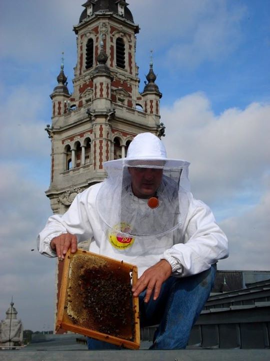 Rooftop Beekeeping