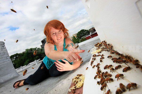 Rooftop Beekeeping