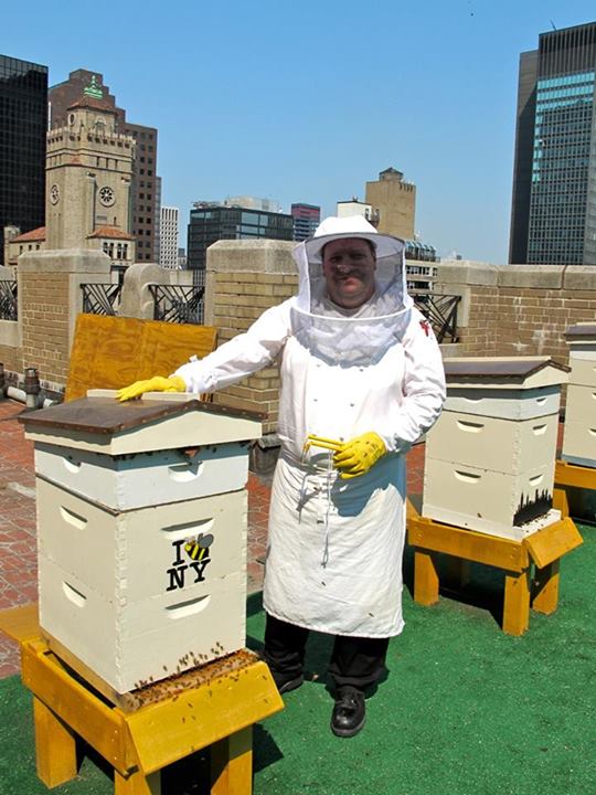 Urban beekeeping