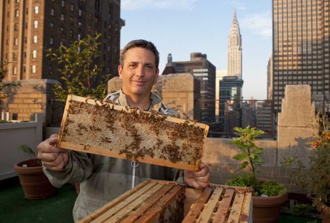 Urban beekeeping