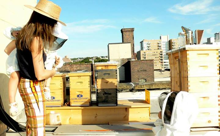 Urban beekeeping