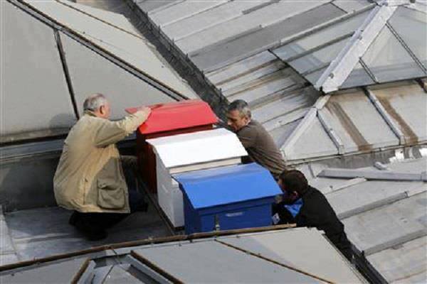 Urban beekeeping