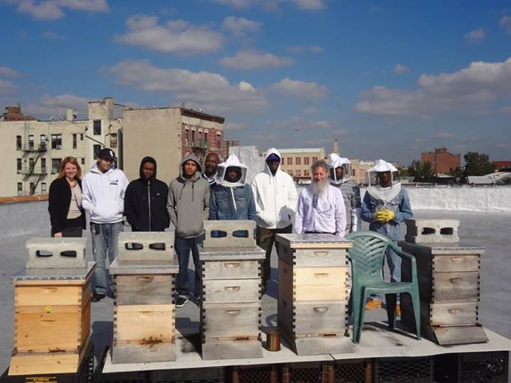 Urban beekeeping