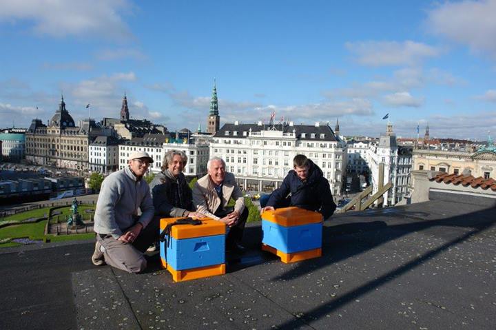 Urban beekeeping