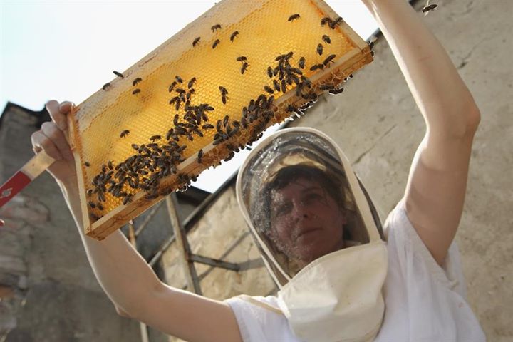 Urban beekeeping