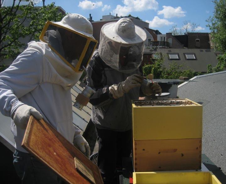 Urban beekeeping