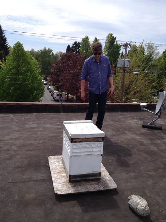 Urban beekeeping